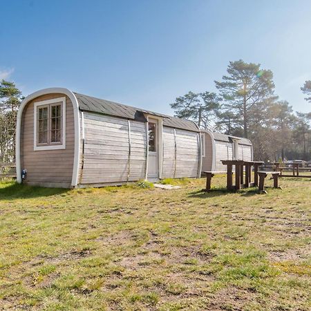 Naturcamping Lueneburger Heide - Chalets & Tiny Haeuser ゾルタウ エクステリア 写真