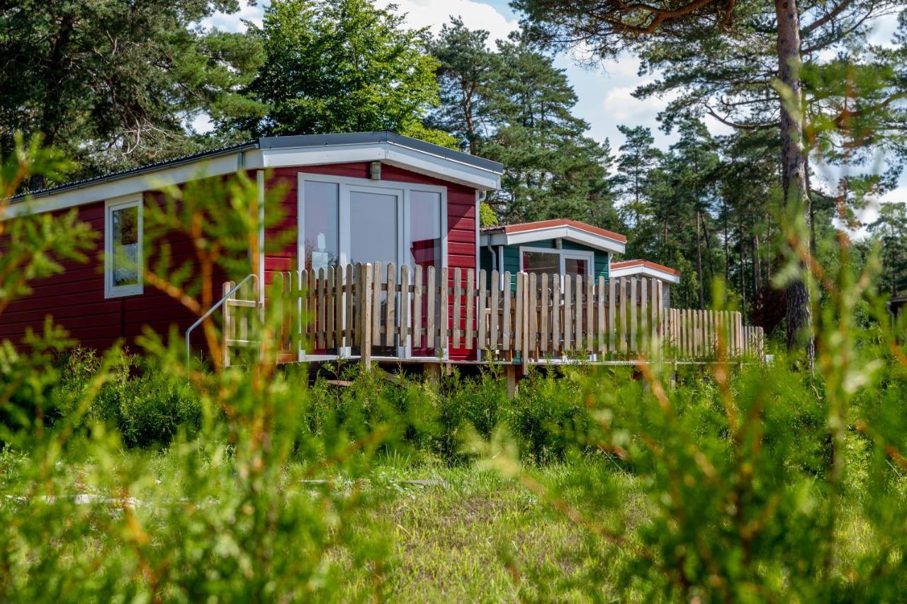 Naturcamping Lueneburger Heide - Chalets & Tiny Haeuser ゾルタウ エクステリア 写真