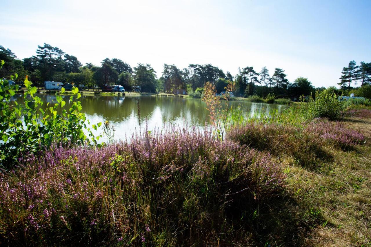 Naturcamping Lueneburger Heide - Chalets & Tiny Haeuser ゾルタウ エクステリア 写真